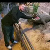 Ryan Chiasson - @ryanchiasson4 - TikTok