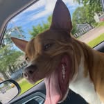 Ryan chiasson - @ryanchiasson2 - Instagram