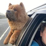 Ryan Child Rizz - @ryanchildrizz - Instagram