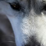 Ryan Chittenden - @ryanjchittenden - Instagram