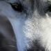 Ryan Chittenden - Facebook