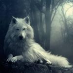 Ryan Chowdhury - @chowdhury_ryan - Instagram