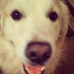 ryan clapp - @ryaneclapp - Instagram
