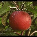 Kris Ryan Claypool - @krisryanclaypool - Instagram