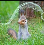 Ryan Clingerman - Facebook