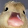 Ryan - @ryan_coward - TikTok