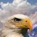 Ryan Coffelt - Facebook