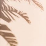 @rya_ncolston - Instagram