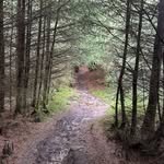 @ryan_conaghann - Instagram