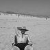 Ryan Condon - Facebook