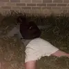 Ryan - @ryan.niglio - TikTok