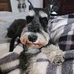 Constance Ryan Leach - @constanceryanleach - Instagram