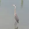 Ryan Conti - @ryan.conti6 - TikTok