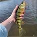 Ryan Conway - Facebook