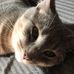 Ryan Coomber - Facebook