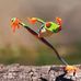 Ryan Corbeil - Facebook