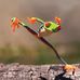 Ryan Corbeil - Facebook
