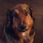 Ryan_corbeil - @ryan_corbeil - Instagram