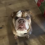 Ryan Corbett - Facebook