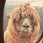 Ryan Couchman - @_couchyman_ - Instagram