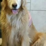 Ryan Countryman - @countryman321 - Instagram