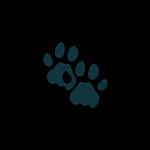 Ryan Cousins - @cousins517 - Instagram