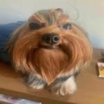 ryan - @ryan.covelli - Instagram