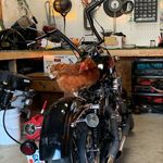 Ryan Crabtree - @crabtree_ryan - Instagram