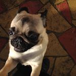 Ryan Craft - @ryan_yy_swagscope - Instagram