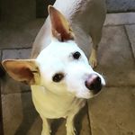 Ryan Cranford - @cranvan27 - Instagram