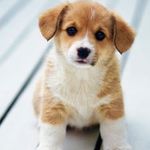Ryan Craven - @craven2498 - Instagram
