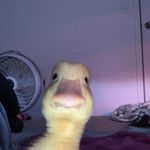 Ryan Cresswell - @ryan_cresswell_ - Instagram