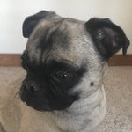 Ryan Cresswell - @ryan_cresswell787 - Instagram