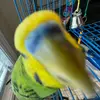 ryan - @ryan_cresswell7 - TikTok