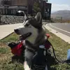 ryancrompton4 - @ryancrompton4 - TikTok