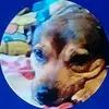 Ryan crook - @ryanmakestiktoks - TikTok