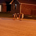 Ryan Crook - Facebook