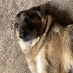 Ryan Crump - @crumpryan2 - Instagram