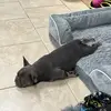 Ryan - @ryan.crumpton - TikTok
