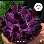 Ryan_crystal - @crystalryan2024 - Instagram