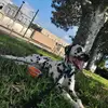 Ryan G Cuddeback - @astra.the.adventure - TikTok