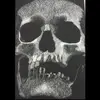 Ryan Culp - @ryanculp24 - TikTok