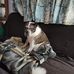 Ryan Cupp - Facebook