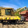 Ryan Curfman633 - @cowsandplows83 - TikTok