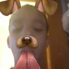 Ryancurlyhead - @ryancurlyhead24 - TikTok