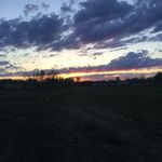 Ryan Cyrus - @ryanloonskin - Instagram