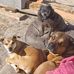 Ryan Dach - Facebook