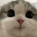 Ryan Dang - @ryandarn - Instagram