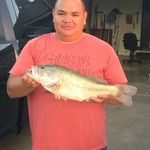 Ryan Daugherty - @beardaugherty - Instagram