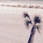 Ryan Daughtry - @ryandaughtry17 - Instagram